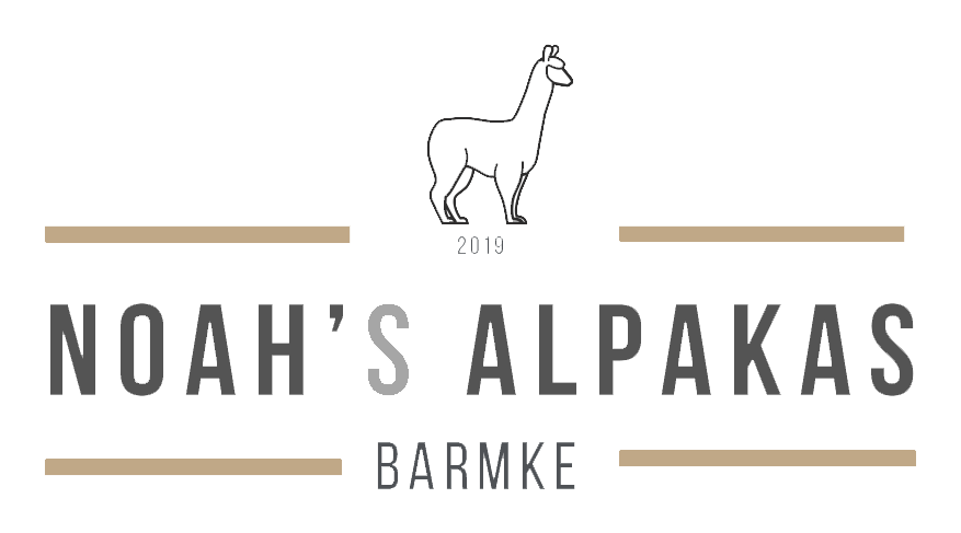 Noahs Alpakas